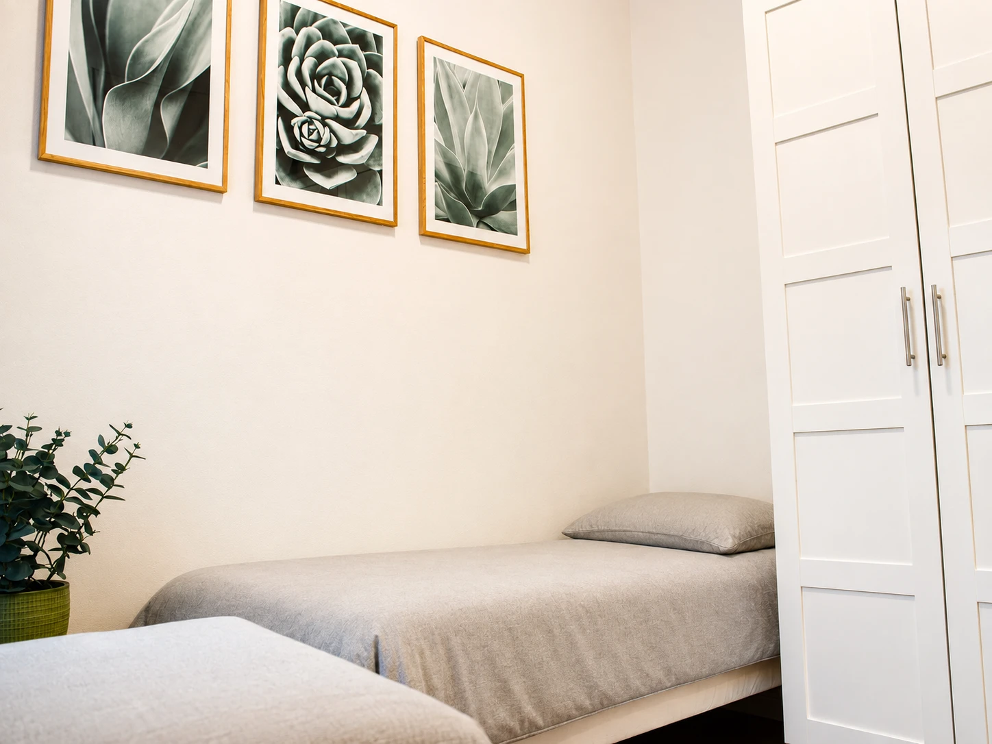 Verona-Borgo-Roma-Via-Centro-106