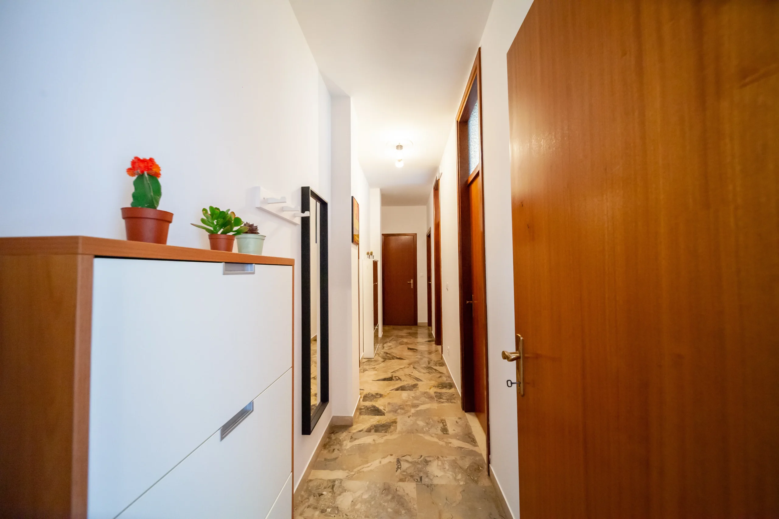 stanza-venezia-mestre-sofocle-10